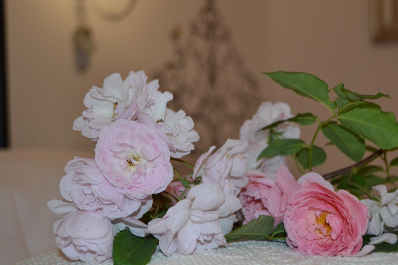 B&B Villa Il Poggiolino Molino del Piano Buitenkant foto